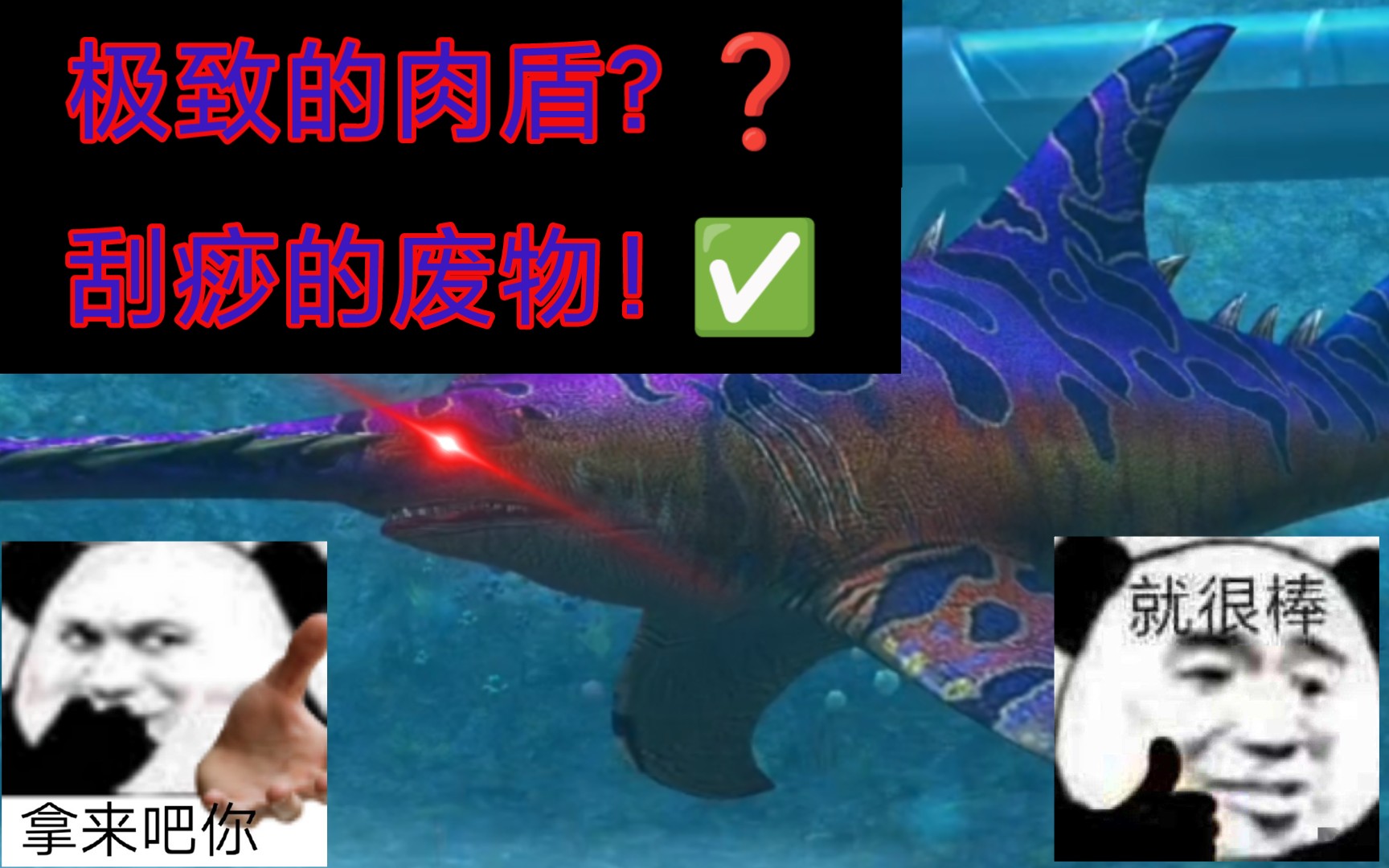 帆锯鳐介绍!这个号第一个满级的水生生物.