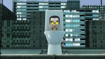 Download Video: knl toilet 3