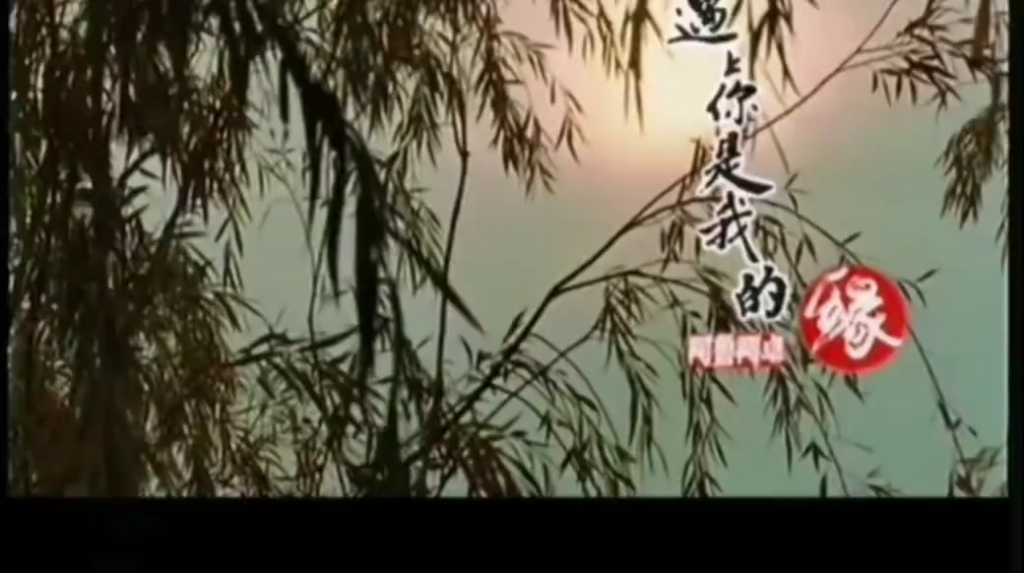 遇上你是我的缘-阿鲁阿卓ktv无损音质小红书修复版