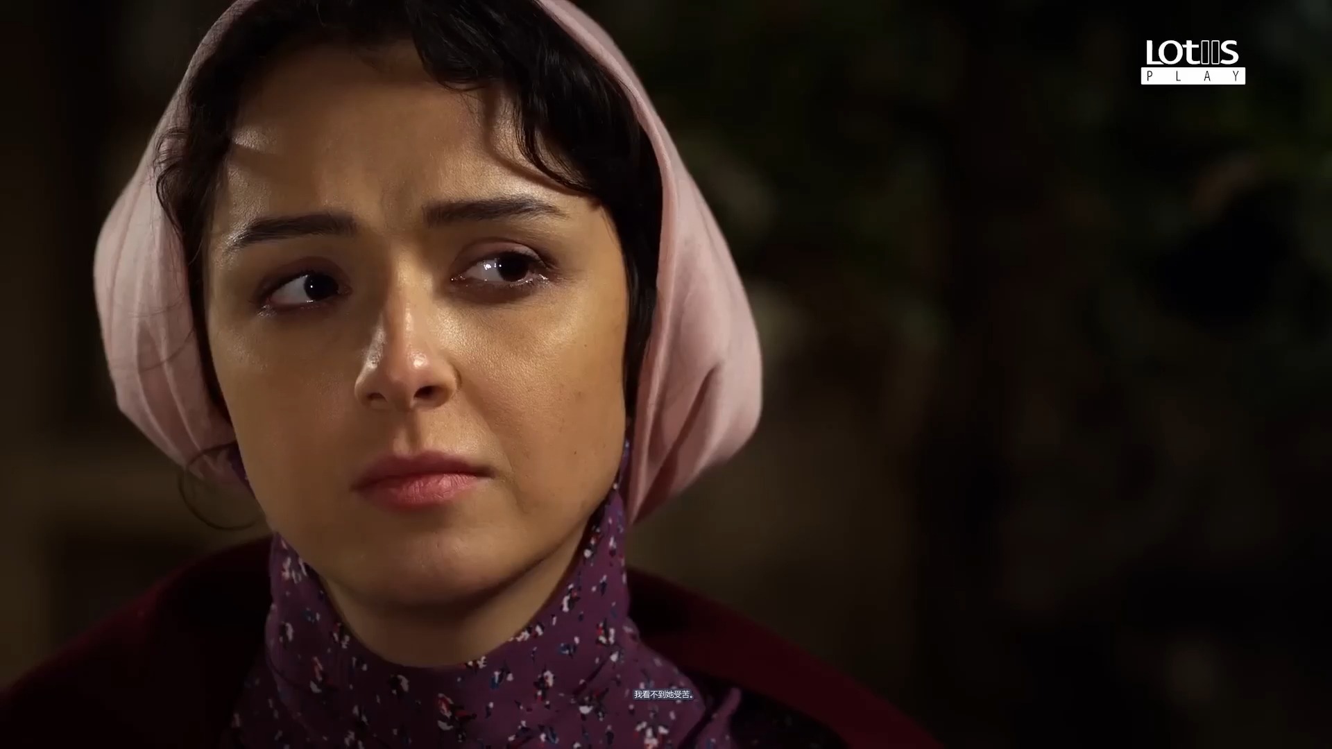 伊朗波斯语电视连续剧 shahrzad 第一季 第12集 5