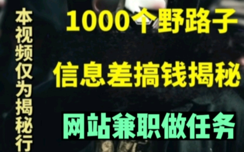 1000个野路子信息差今日揭秘网站兼职月入十万内幕拆解.哔哩哔哩bilibili