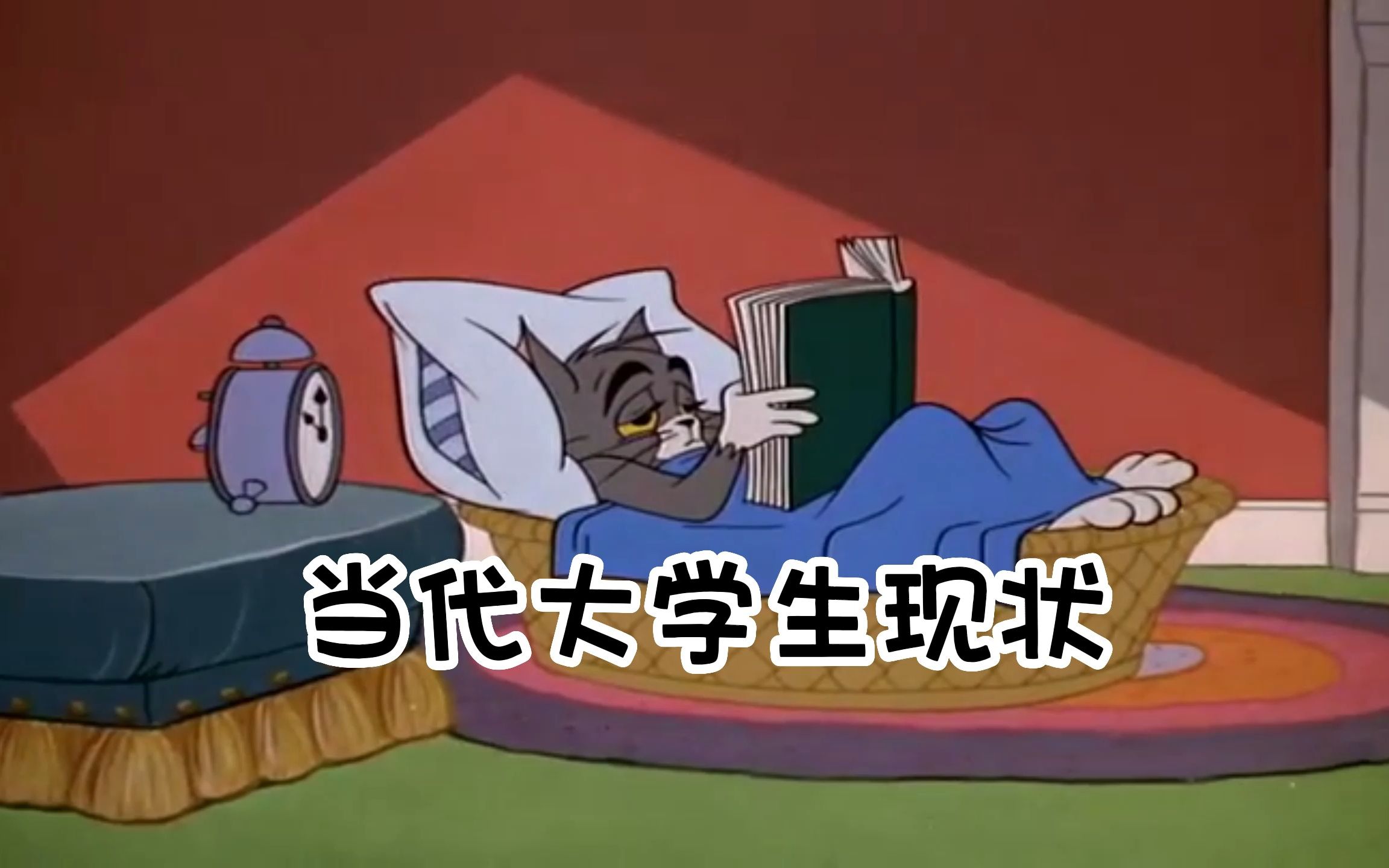 【猫和老鼠】当代大学生现状