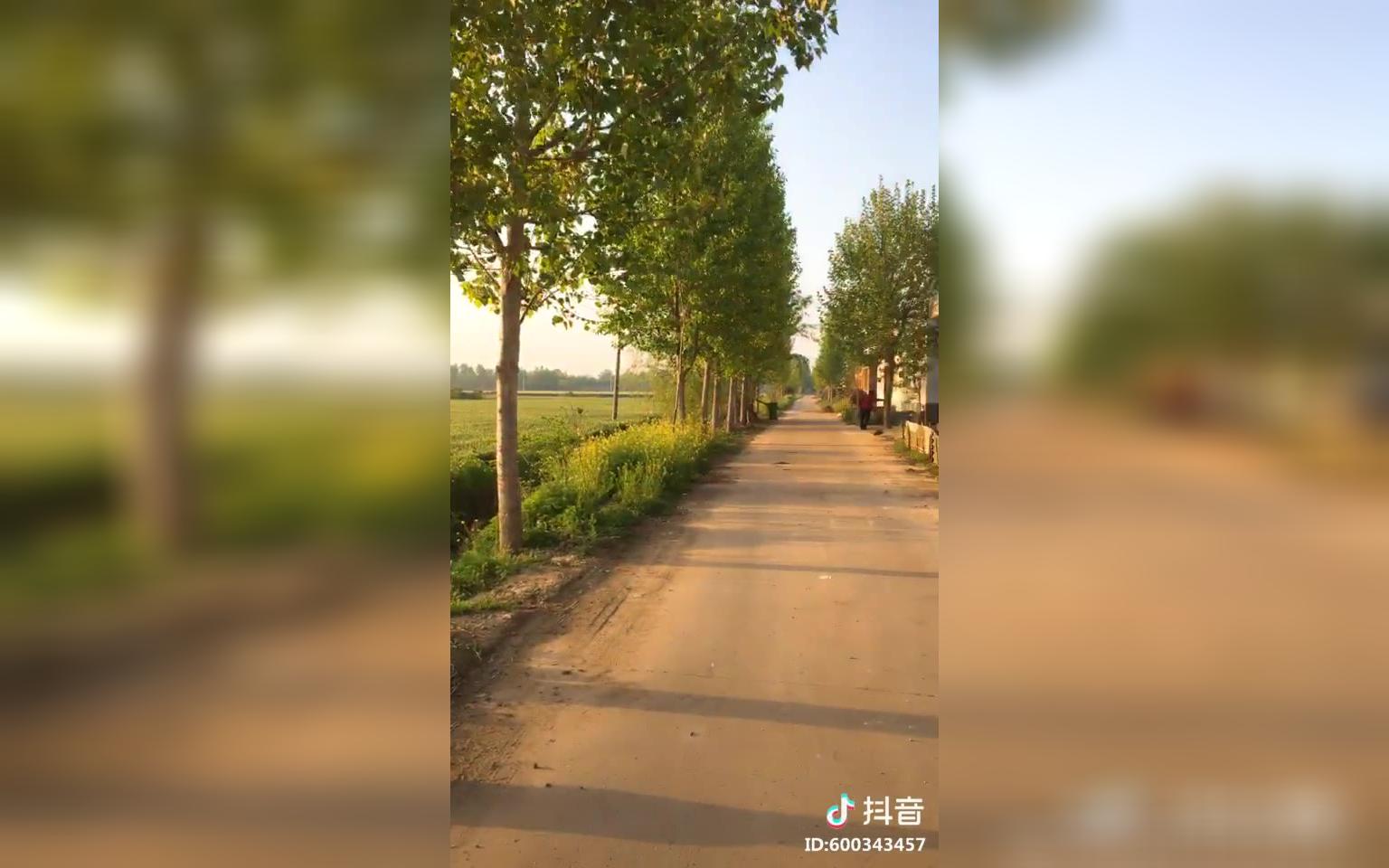 我的家乡河南邓州哔哩哔哩bilibili