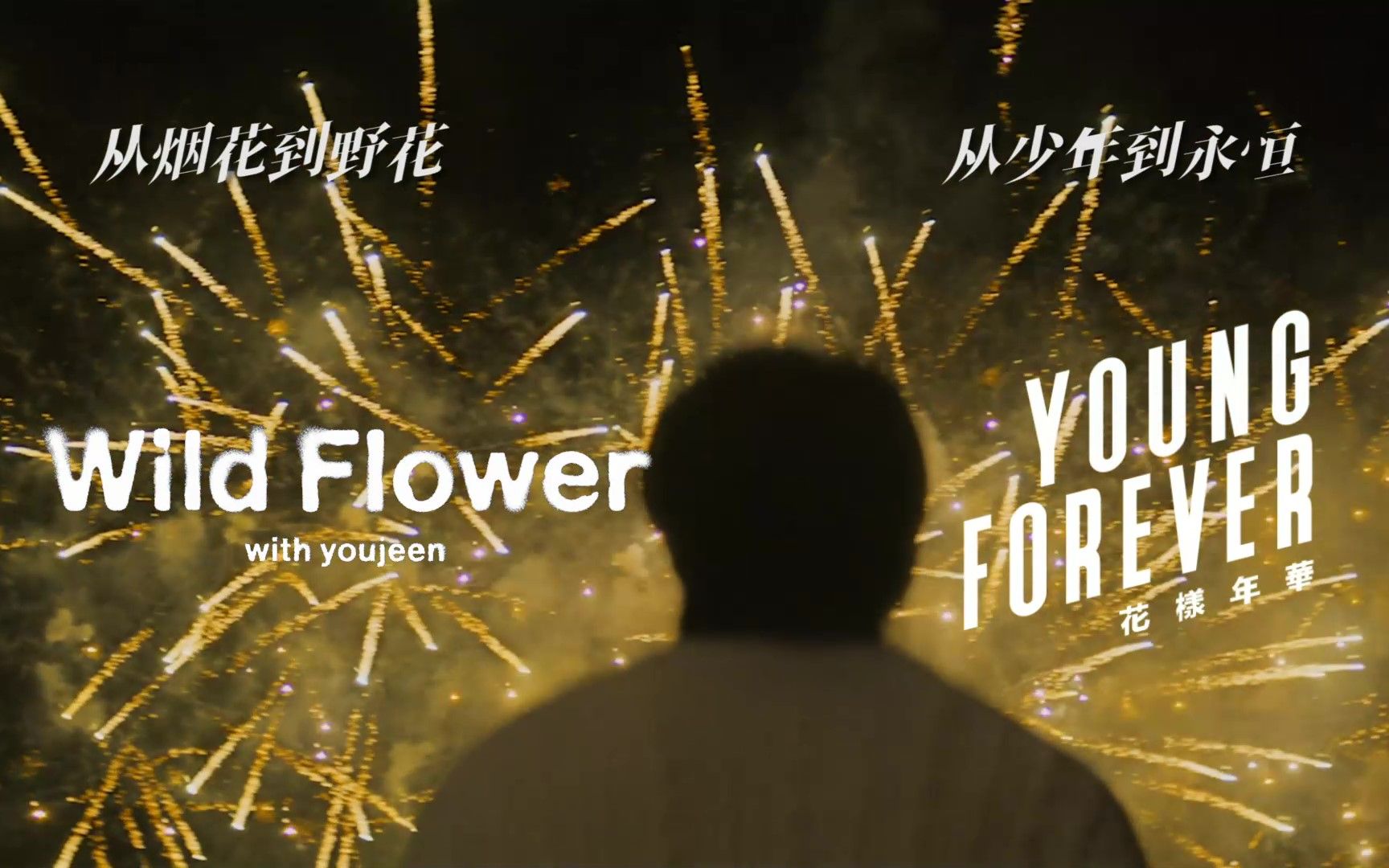 [图]【神仙混音】野花火×Young Forever (Demo ver.) -金南俊RM丨含双声道建议佩戴耳机