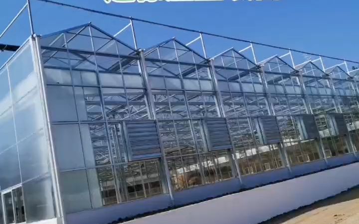 新密阳光板连栋温室项目