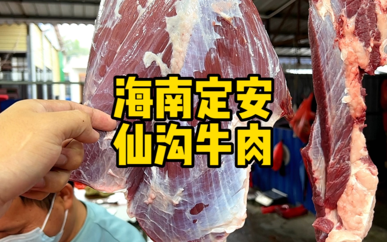 海南定安仙沟牛肉,会跳舞的动动牛