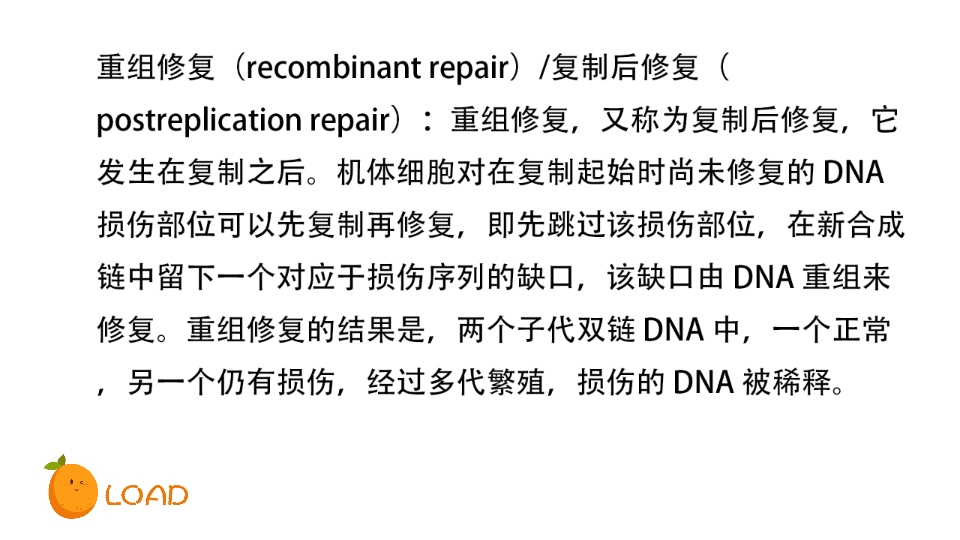 【普通生物学】名词解释 (66)重组修复/直接修复哔哩哔哩bilibili