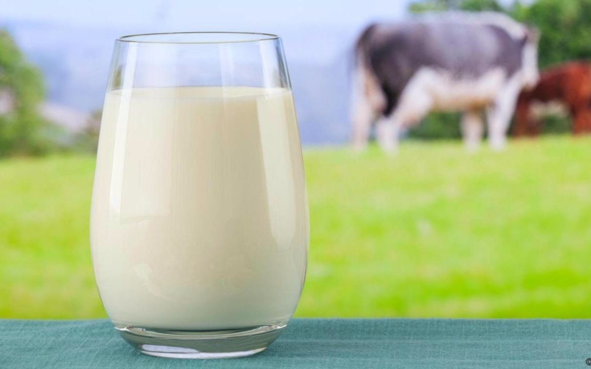 全球饮料:牛奶(globaldrinks:milk)〔英语发音,台湾dvd版白色标楷体