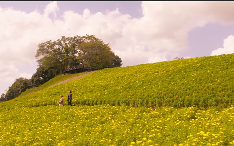 (不良少年)冬天就该看治愈日剧,犬系少年与猫系少女的双向恋爱,彼此