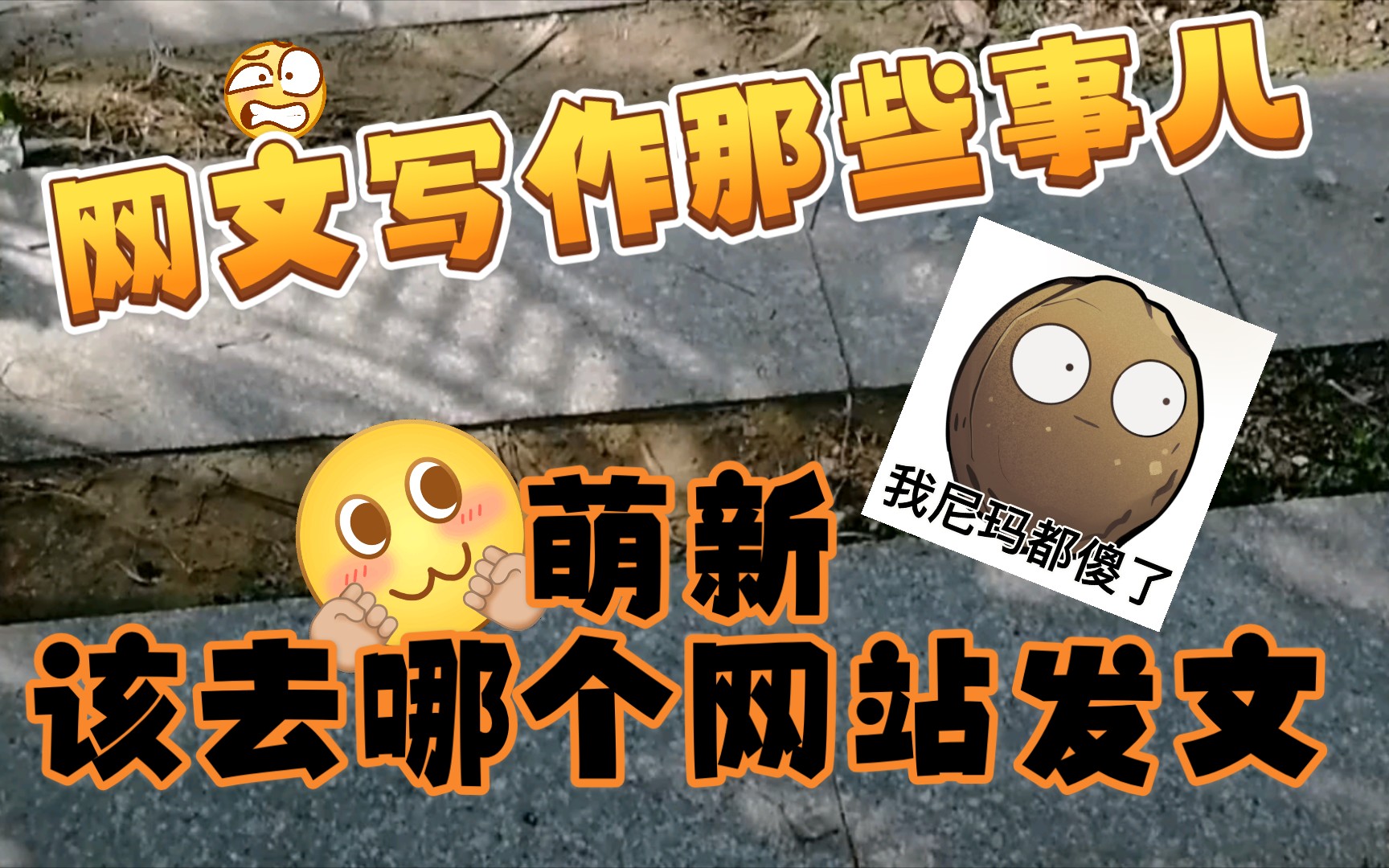 【网文写作那些事儿】萌新该去哪个网站发文?哔哩哔哩bilibili