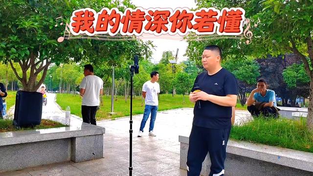 《我的情深你若懂》又怎会给我无言的伤痛,愿思念又再风起云涌