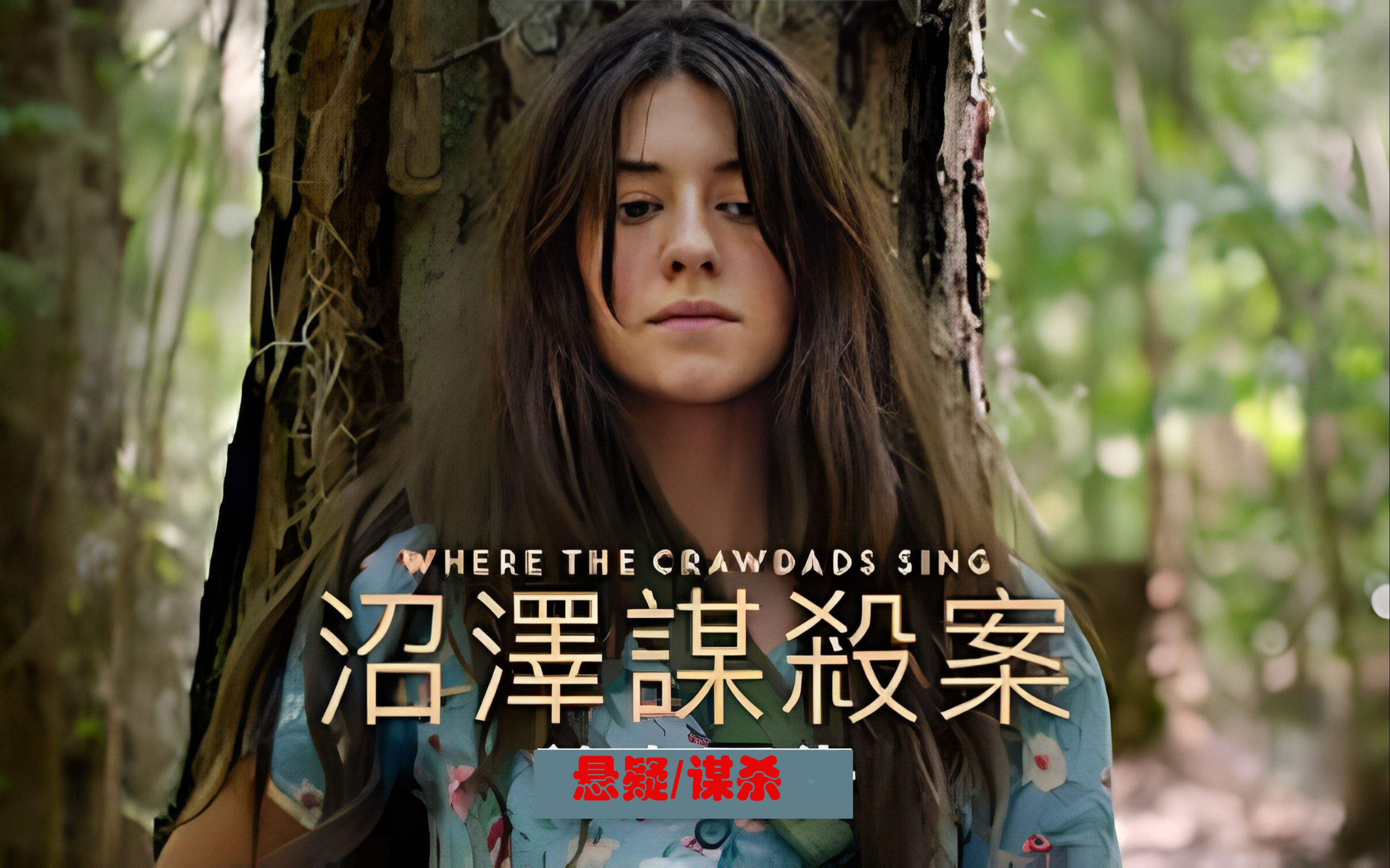 沼泽女巫家的谋杀案 - 资源合集 - 小不点搜索