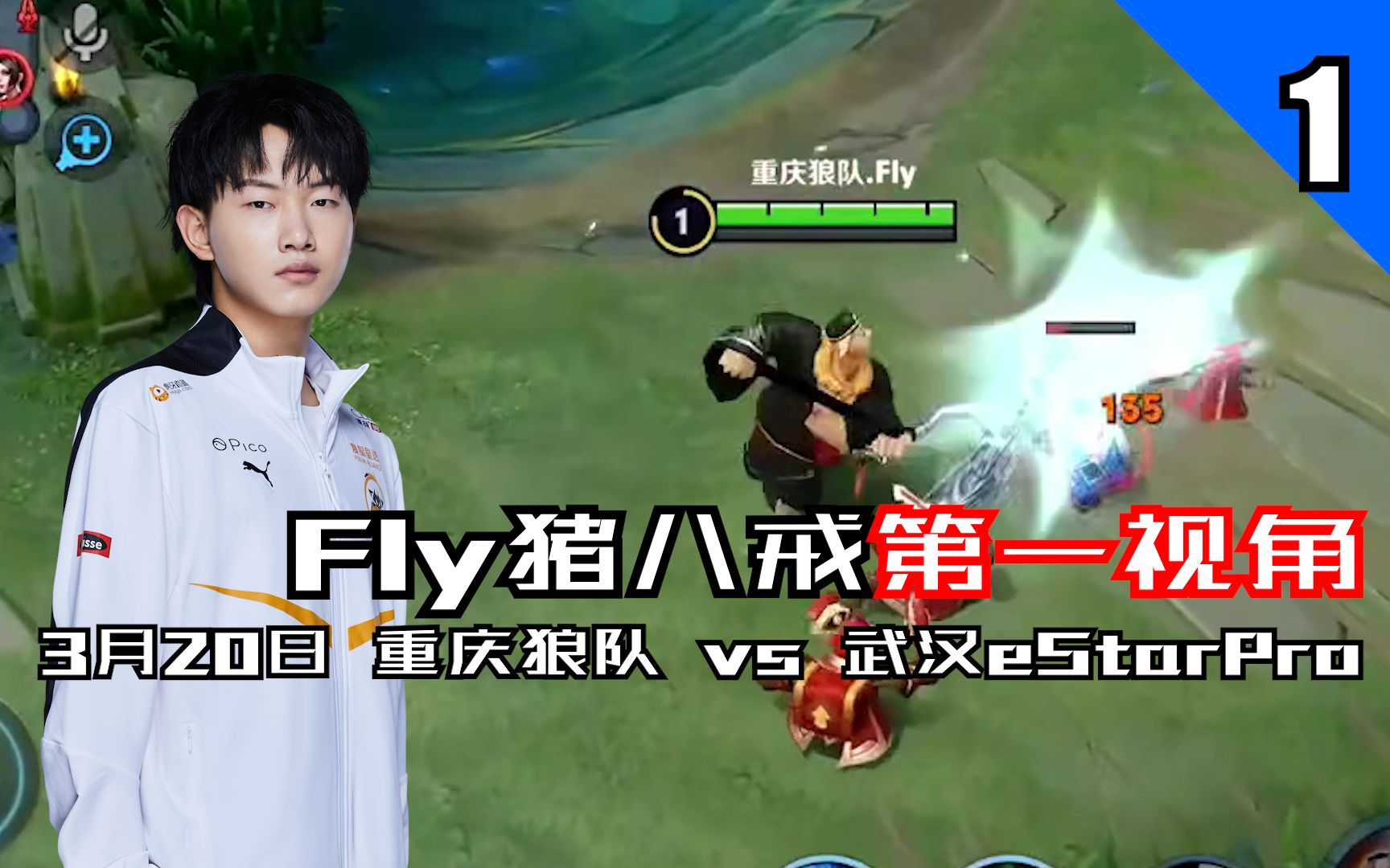 Fly猪八戒第一视角 3月20日重庆狼队 vs 武汉eStarPro电子竞技热门视频