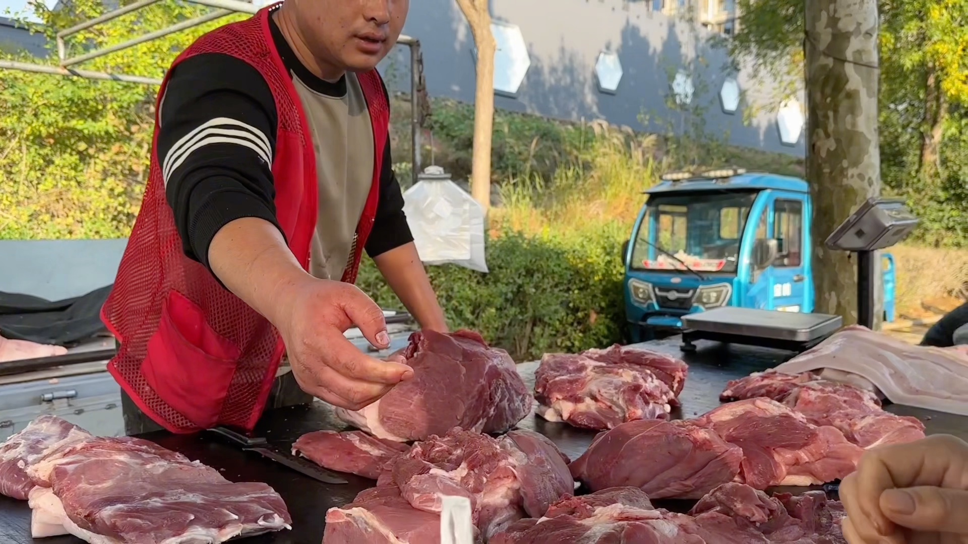 正宗农家土猪肉,买肉都得排队!生意火爆哔哩哔哩bilibili