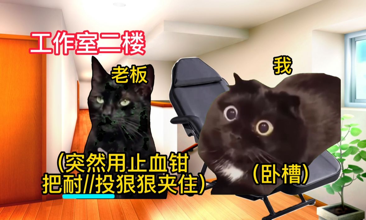 [图]【猫meme】我的打ru钉奇遇记(痛撅版)