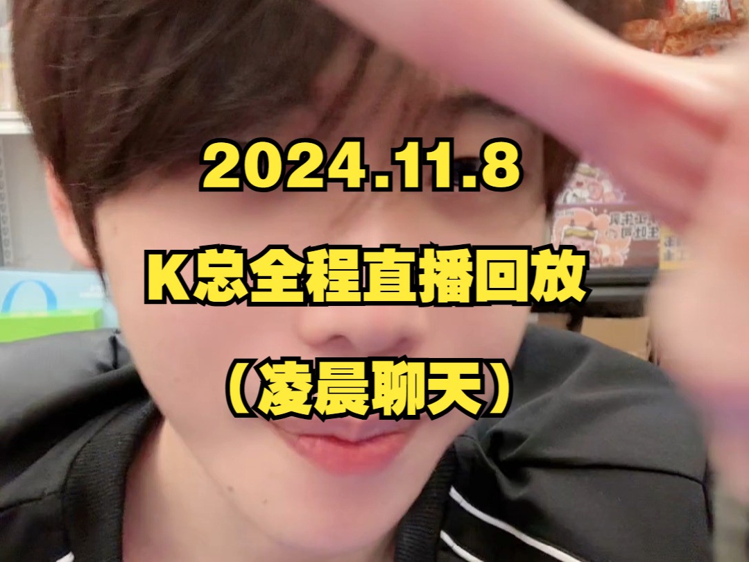 2024.11.8K总全程直播回放(凌晨聊天)哔哩哔哩bilibili