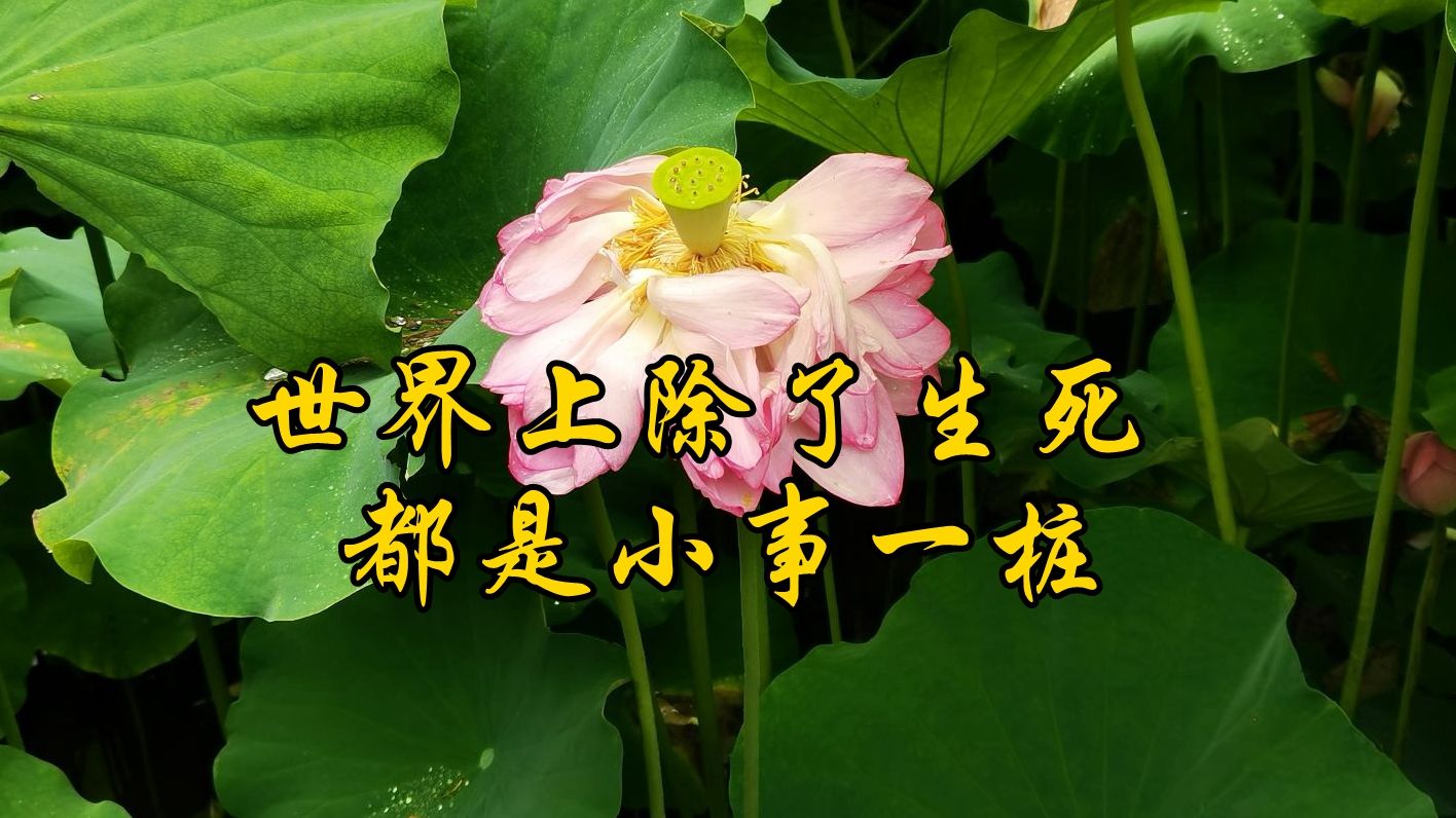 陆天然:世界上除了生死都是小事一桩