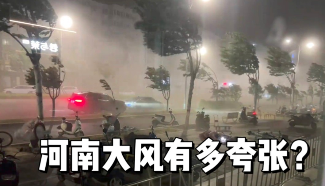 河南大风有多夸张?夜市摊,大树,电线杆,小麦全被吹倒