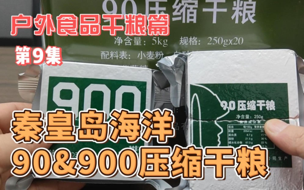 户外食品专辑:干粮篇,第九集,90压缩干粮,900压缩干粮,秦皇岛海洋食品有限公司哔哩哔哩bilibili