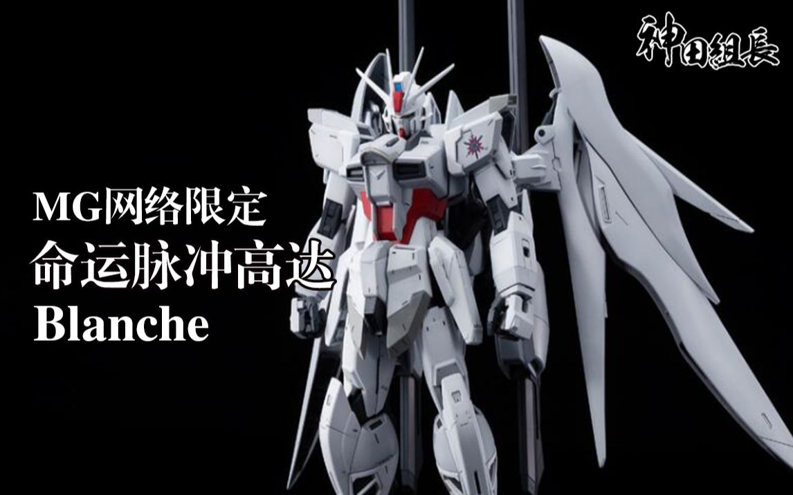 【上手评测】万代mg 网络限定 白色命运脉冲高达blanche 天空の皇女