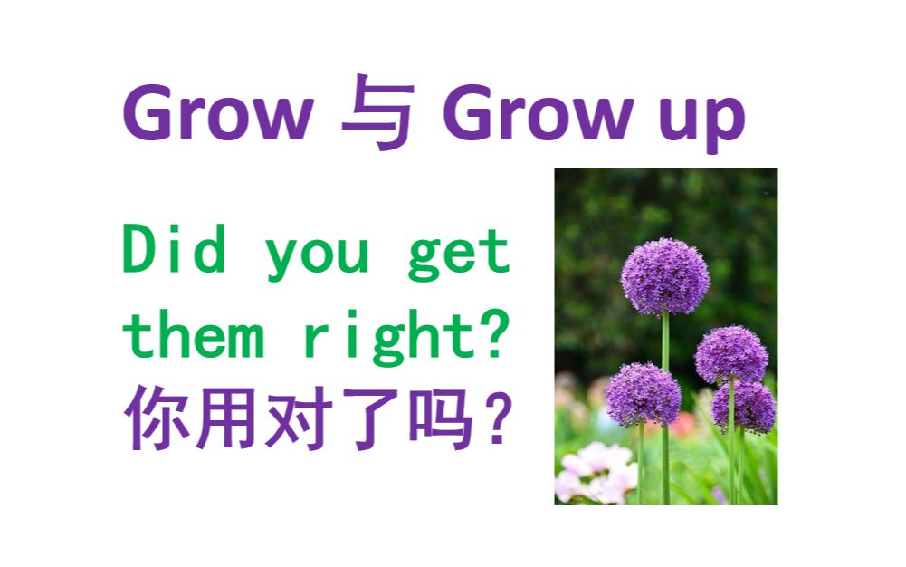 grow与grow up你用对了吗?哔哩哔哩bilibili