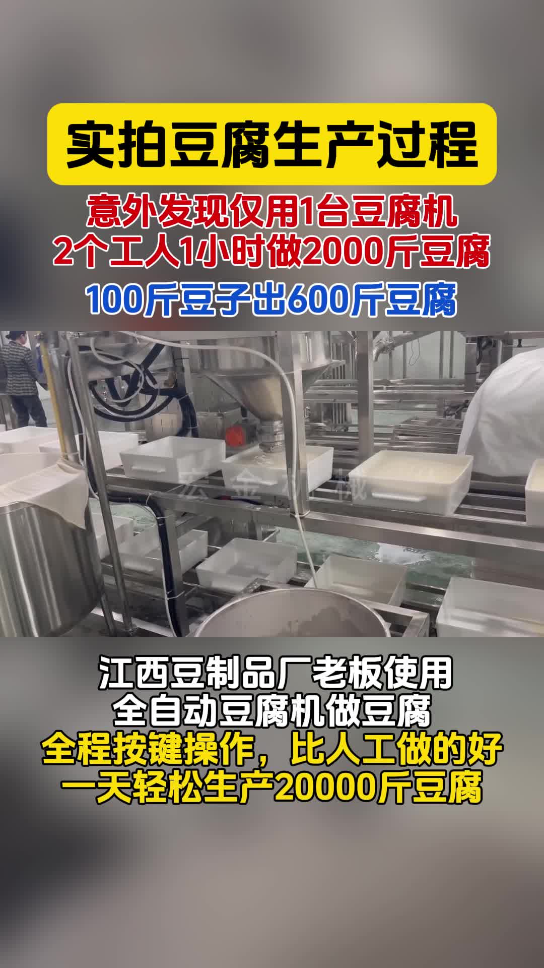 实拍豆腐生产过程,发现仅用1合豆腐机2个工人1小时做2000斤豆腐哔哩哔哩bilibili