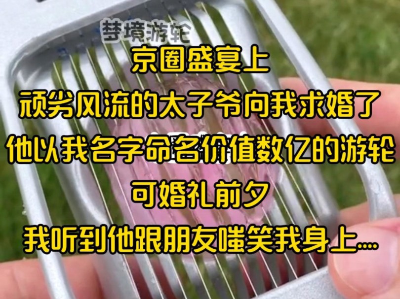 京圈盛宴上,顽劣风流的太子爷向我求婚了,他以我名字命名价值数亿的游轮,可婚礼前夕,我听到他跟朋友嗤笑我身上....哔哩哔哩bilibili