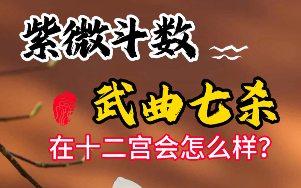 紫微斗数武曲七杀在十二宫会怎么样?武曲七杀,武曲是钱,硬的等,七杀是线,平面,直等两个同宫就是硬碰硬,矛盾,争执,抗争,互掐,打架,吵...