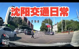 下载视频: 路上的都是大爷！--沈阳交通日常