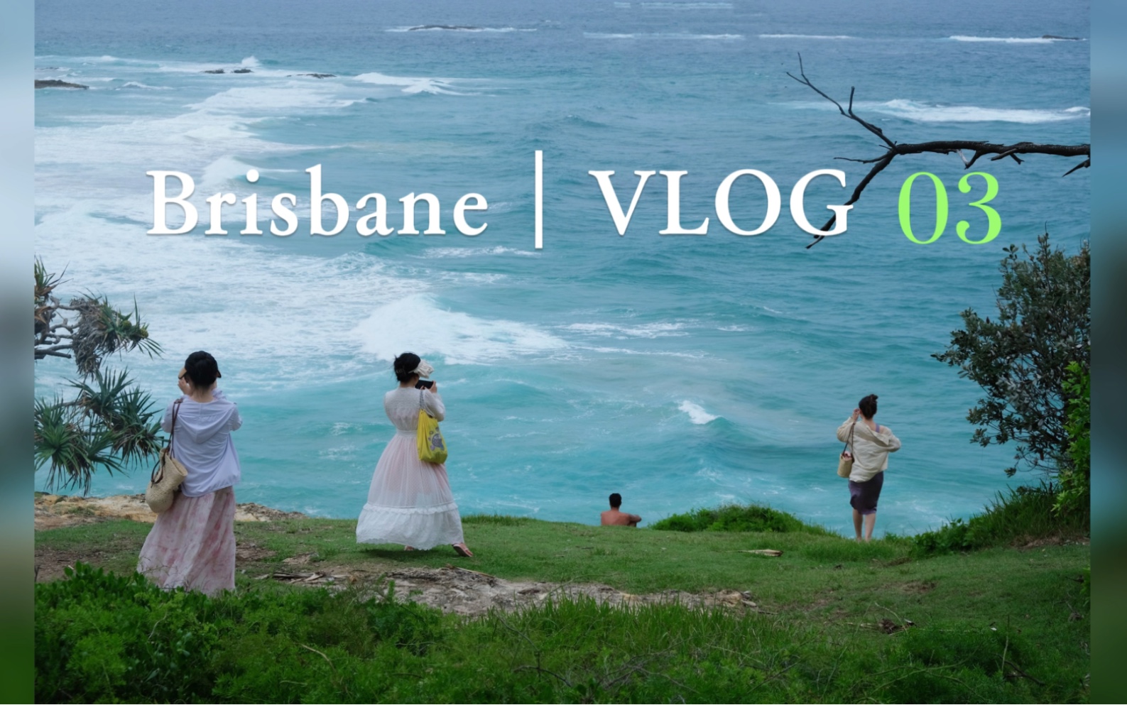 【2024】VLOG03|Brisbane|布里斯班|北岛|抱考拉!哔哩哔哩bilibili