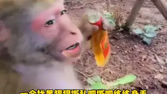喝中国劲酒，揍亲朋好友