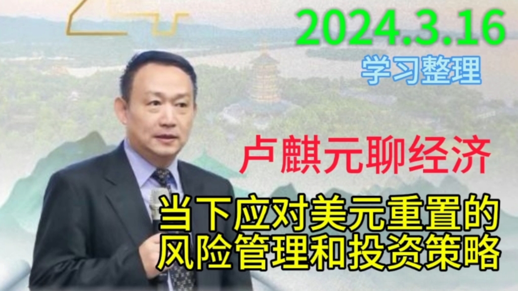 卢麒元聊经济:应对美元重置的风险管理和投资策略哔哩哔哩bilibili