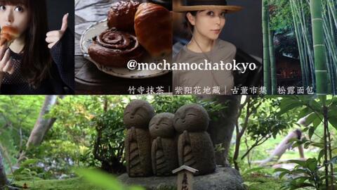 Vlog 竹寺抹茶 紫阳花地藏 古董市集 松露面包 哔哩哔哩