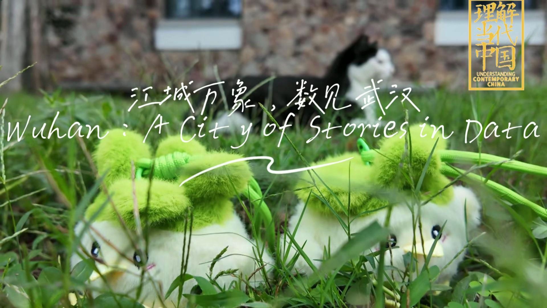 江城万象，数见武汉