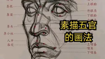 理解五官不能单个理解，可以这样去画画