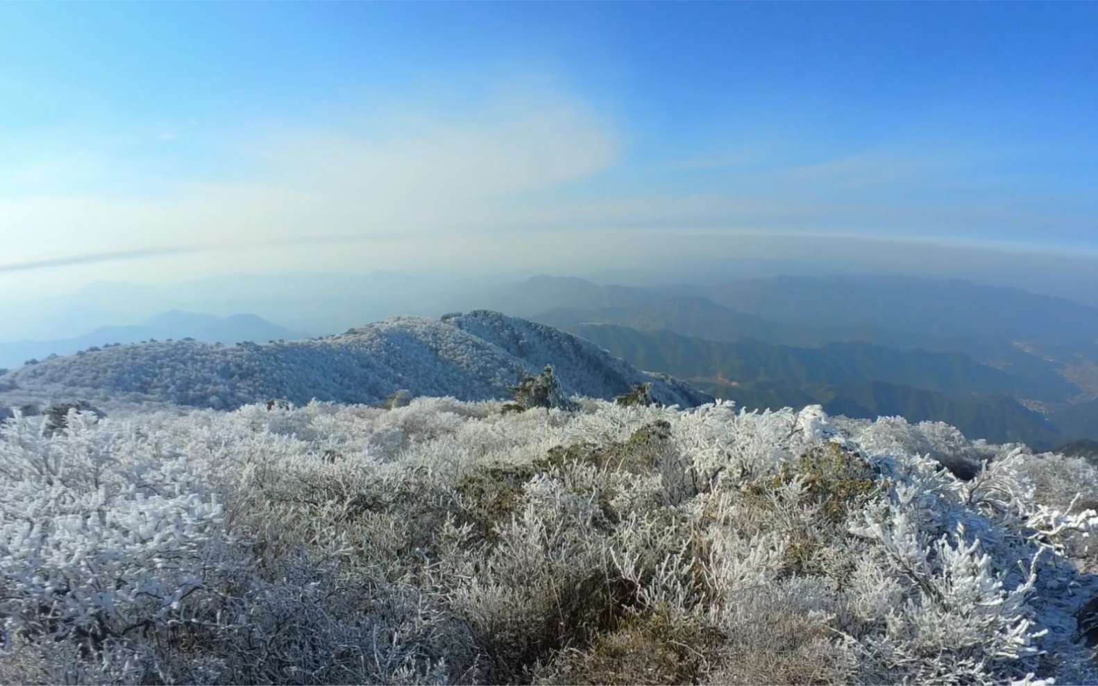 安吉龙王山雾凇图片