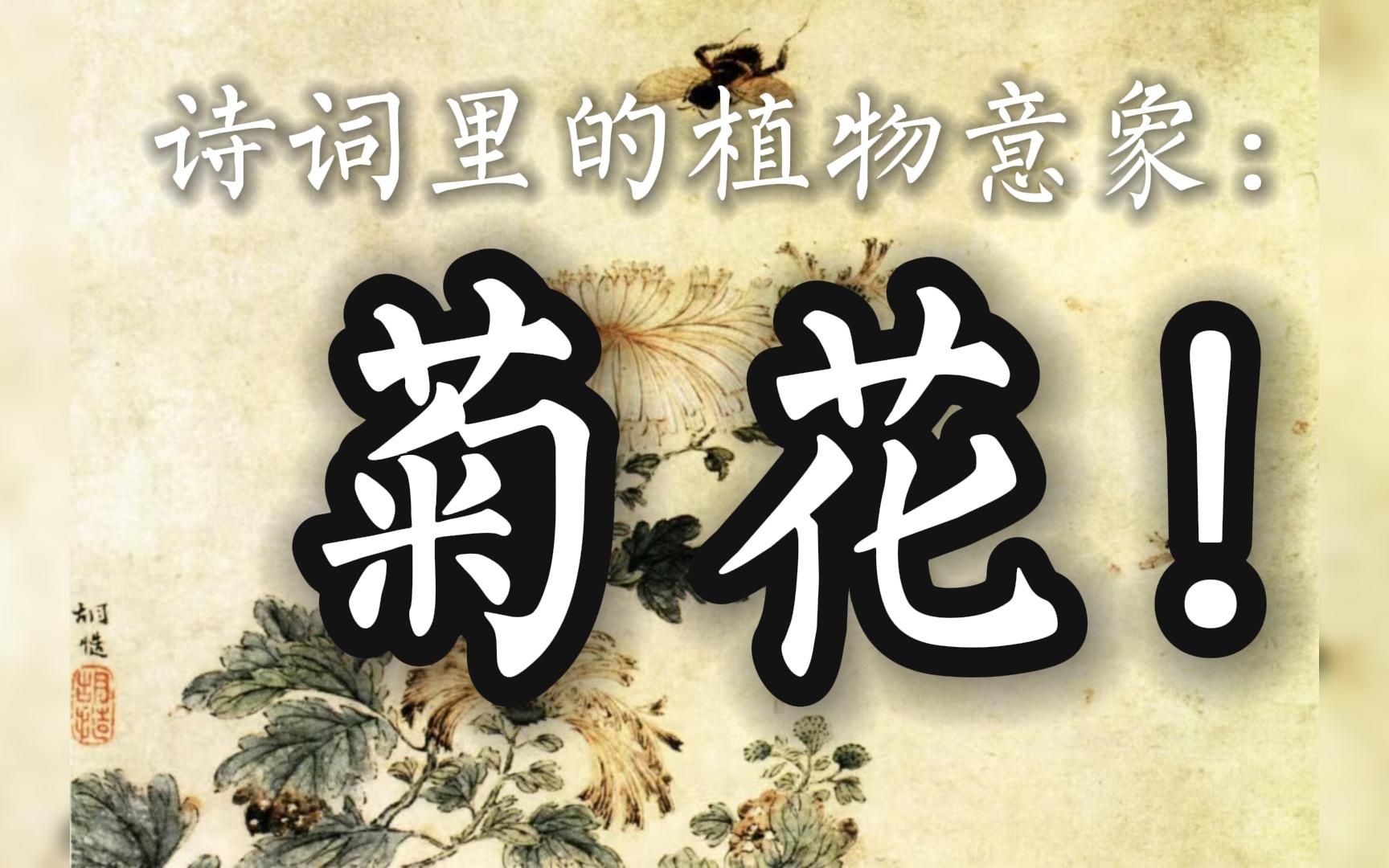 千古詩心(49):詩詞裡的植物意象:菊花!