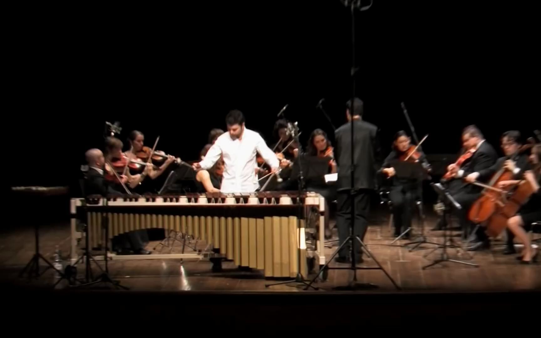 [图]Eric Ewazen - Concerto for Marimba and Orchestra (Marimba Daniele Palma)