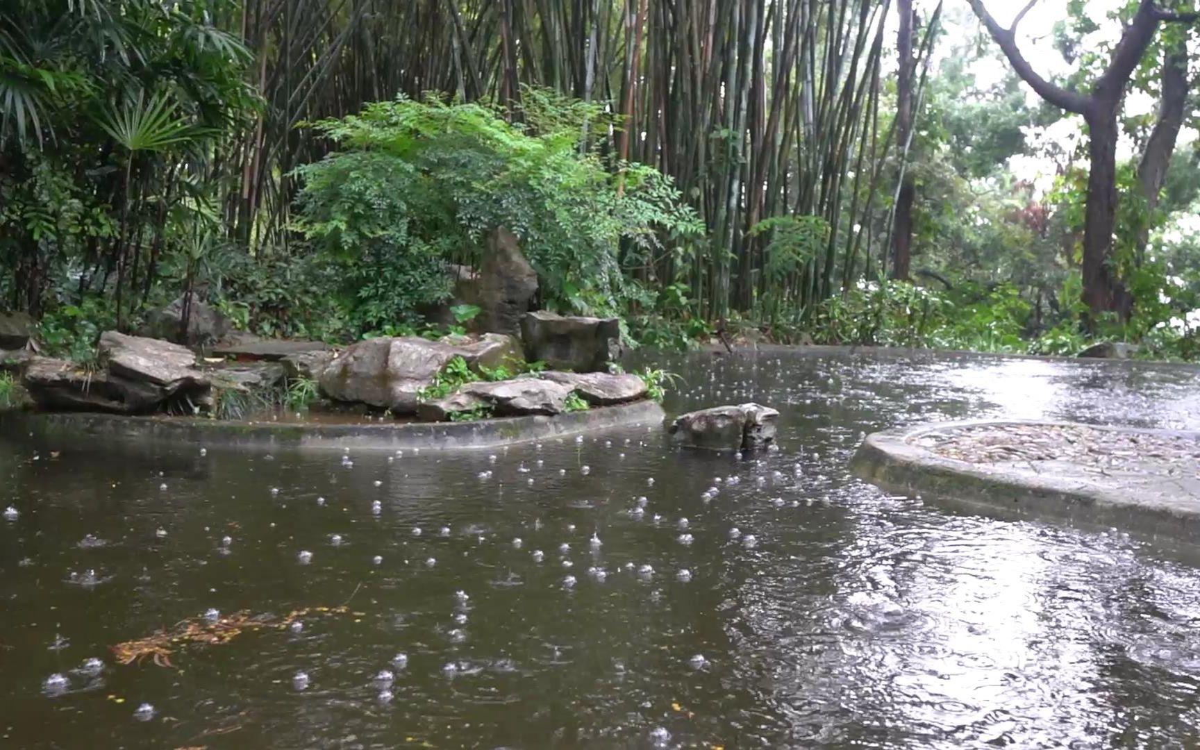 [图]跟着节气去采风--谷雨