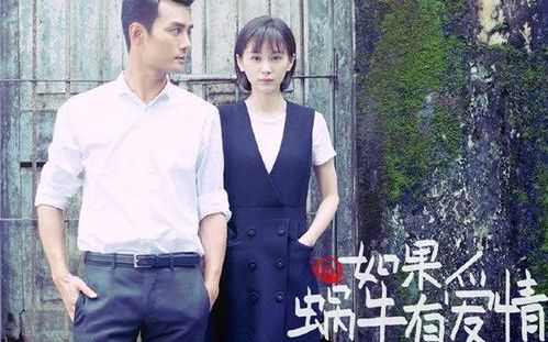 【如果蜗牛有爱情】蜗牛电视台哔哩哔哩bilibili