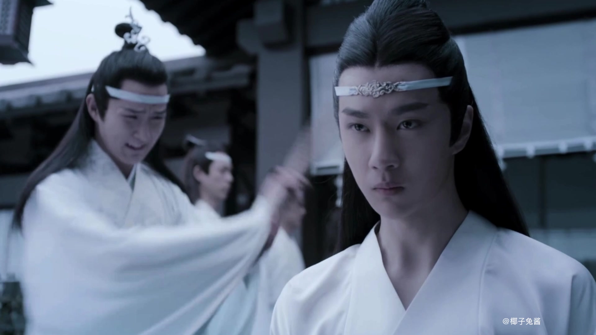 蓝忘机视角忘羡三十三道戒鞭痕终不悔