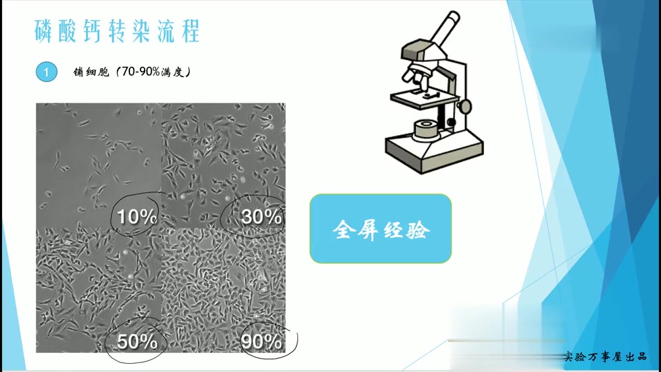 [图]【实验万事屋】分子生物学中级班（万事屋）24老师精讲完整版