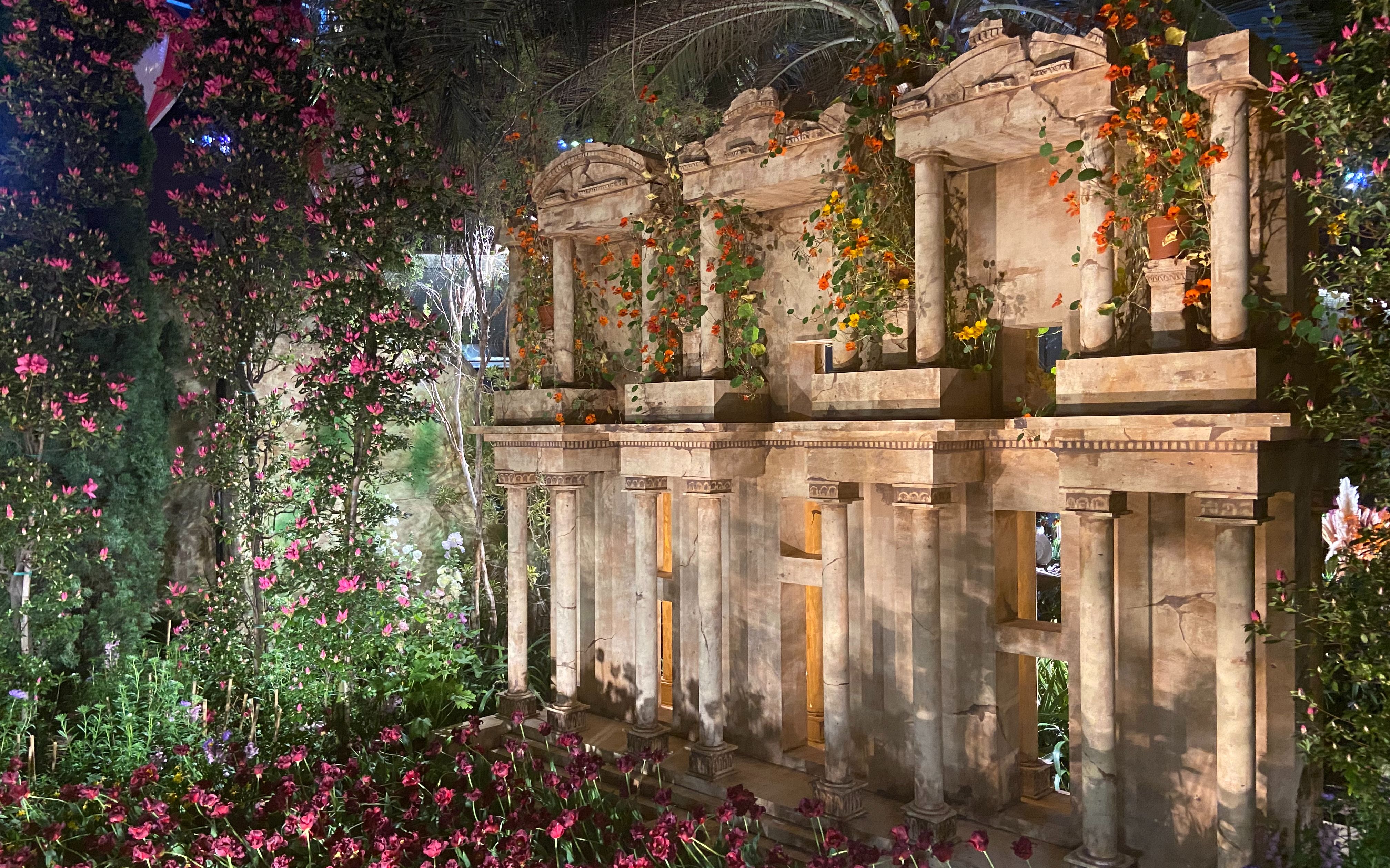 新加坡花穹flower dome郁金香盛开的季节