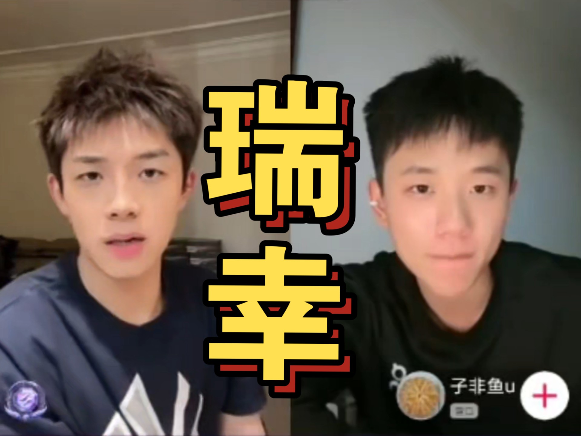 子非鱼 瑞幸的孩子 是黄色的?小小脏哔哩哔哩bilibili