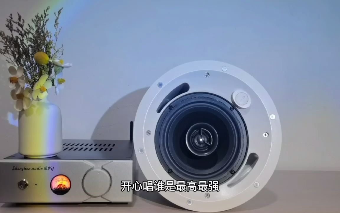 哆睿咪Dr6pro吸顶音箱家庭影院投影仪音箱天花音箱背景音乐店铺音箱平价音箱HIFI音箱哔哩哔哩bilibili