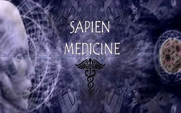 [图][Sapien Medicine]富足的生活Sub A life of Magical Abundance (energetically programmed)