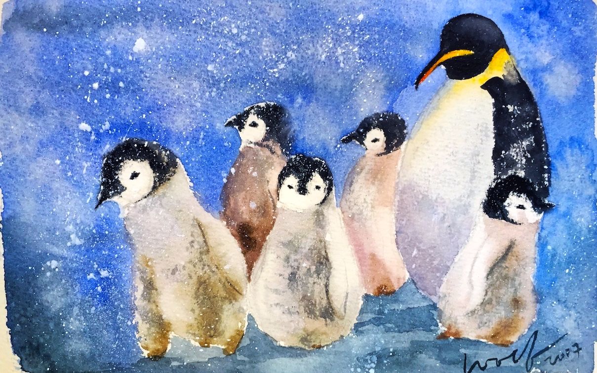 [untamed little wolf]水彩企鹅过程