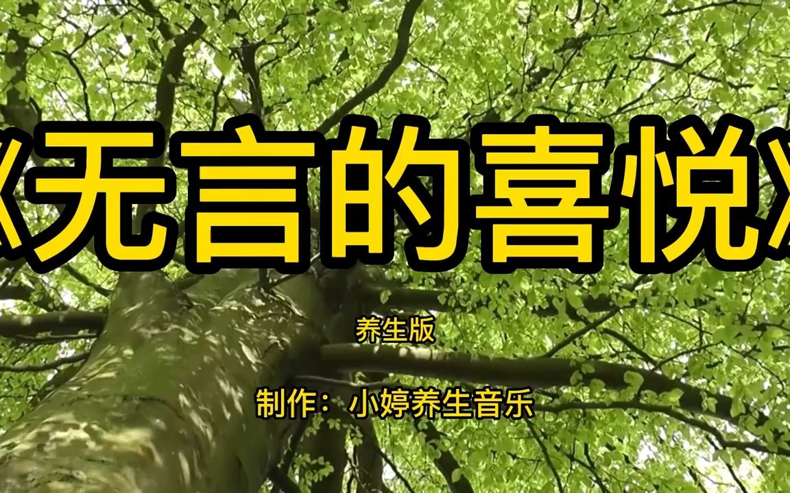 [图]世界顶级古筝古琴曲轻音乐《无言的喜悦》，恬静美好，舒畅柔和