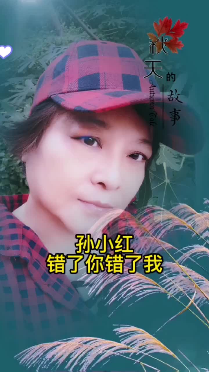 谁是谁非谁对谁错原创歌曲回顾经典老歌枫艺原创音乐哔哩哔哩bilibili