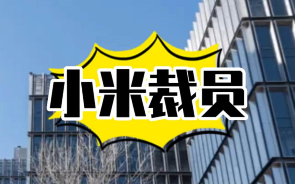 小米13刚刚发布后,小米被曝将裁员6000余人,临近年底,年终奖没拿到,还被裁员……#小米 #小米裁员 #裁员哔哩哔哩bilibili